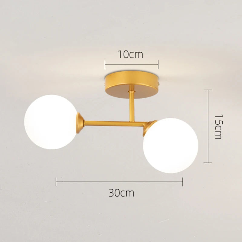 LED Ceiling Lamp Home Decor Interior Lighting For Bedroom Living Room Dining Table Cloakroom Corridor Nordic Ball Ceiling Light