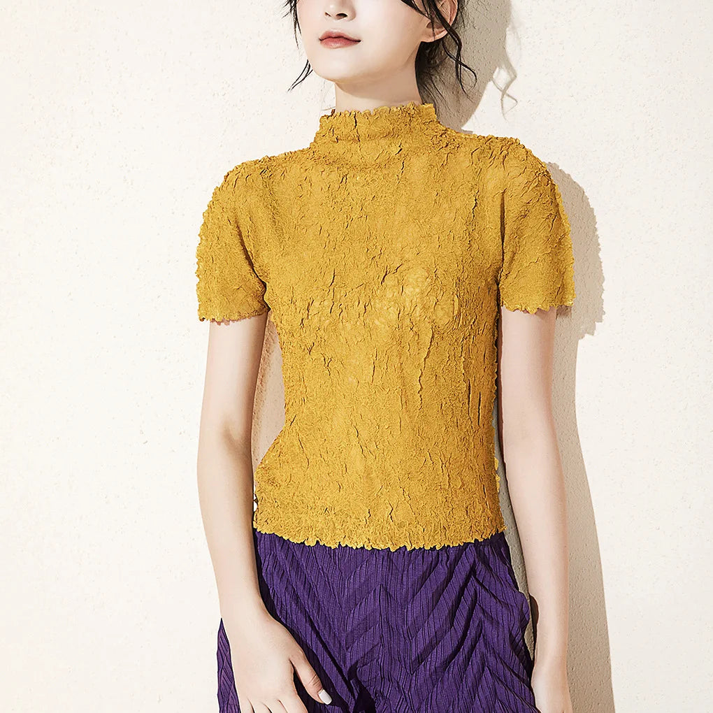 Basic short-sleeved tops for women in summer, slim fit, stand-up collar, black pleated T-shirt, 2025 new summer tops